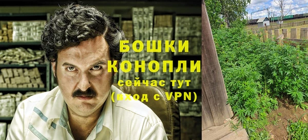 МДПВ Елабуга