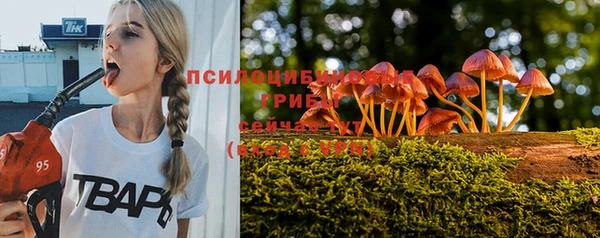 mdpv Заволжск