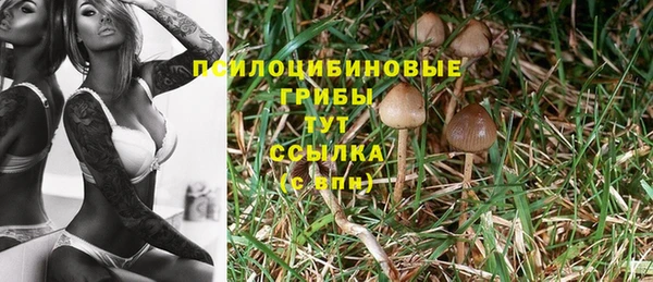 МДПВ Елабуга
