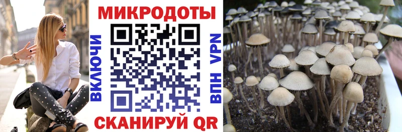 нарко площадка состав  Заринск  Псилоцибиновые грибы мицелий  блэк спрут как зайти 
